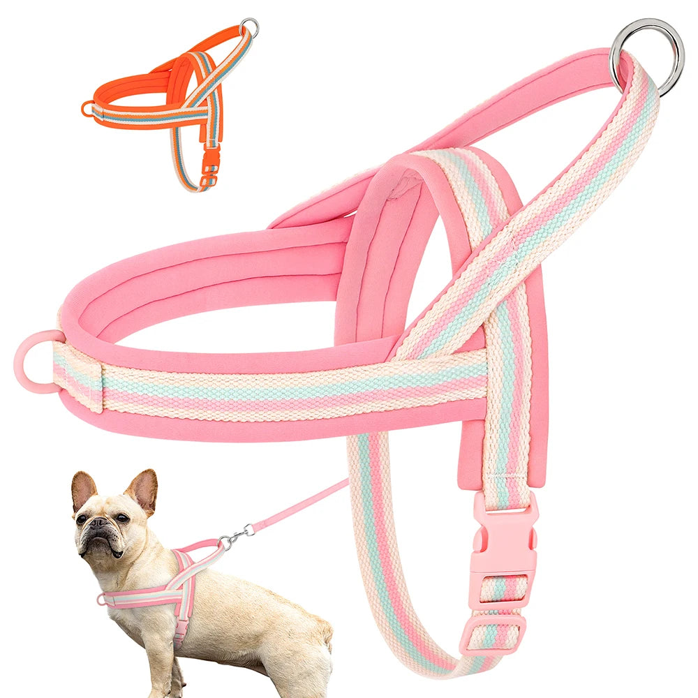 Padded Nylon Dog Harness Vest 🐾🌟